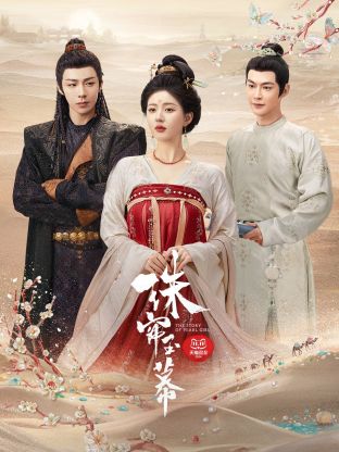 海外直播b站《珠帘玉幕》免费在线观看