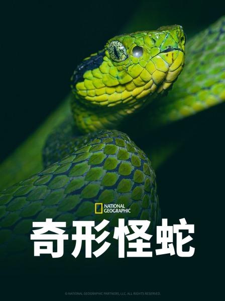 海角乱伦社区《奇形怪蛇》免费在线观看